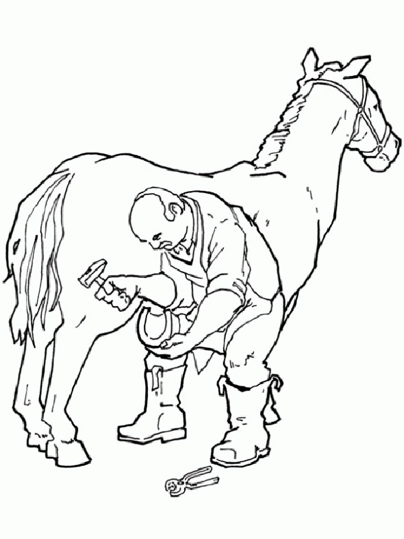 pferd 15