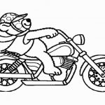 Motorrad (1)